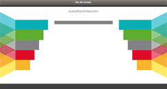 Desktop Screenshot of bursafranchise.com
